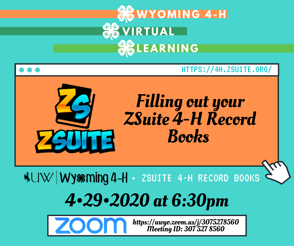 zsuite