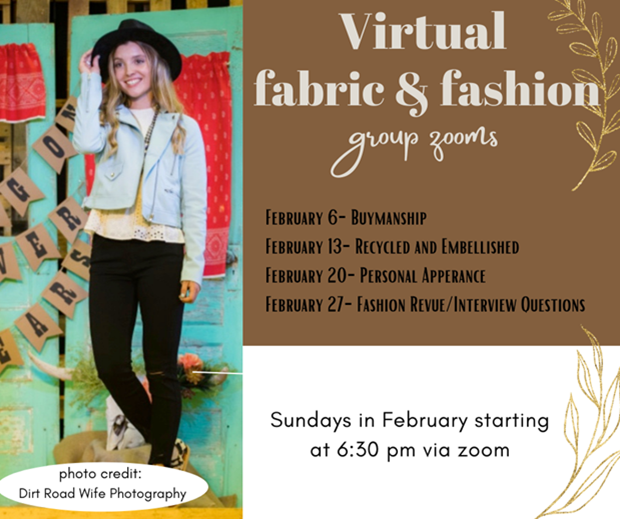 Virtual Fashion and Fabric Spin Group