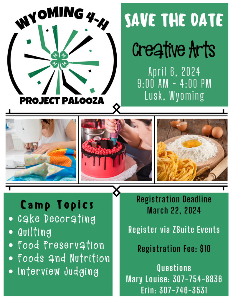 Wyoming 4-H Project Palooza - Creative Arts flyer