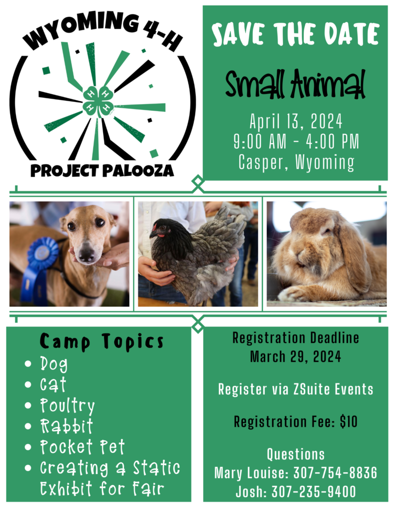 Small Animal Project Palooza flyer