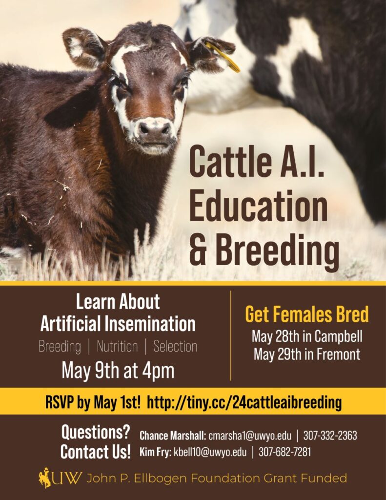 Cattle AI Education and Breeding flyer 2024