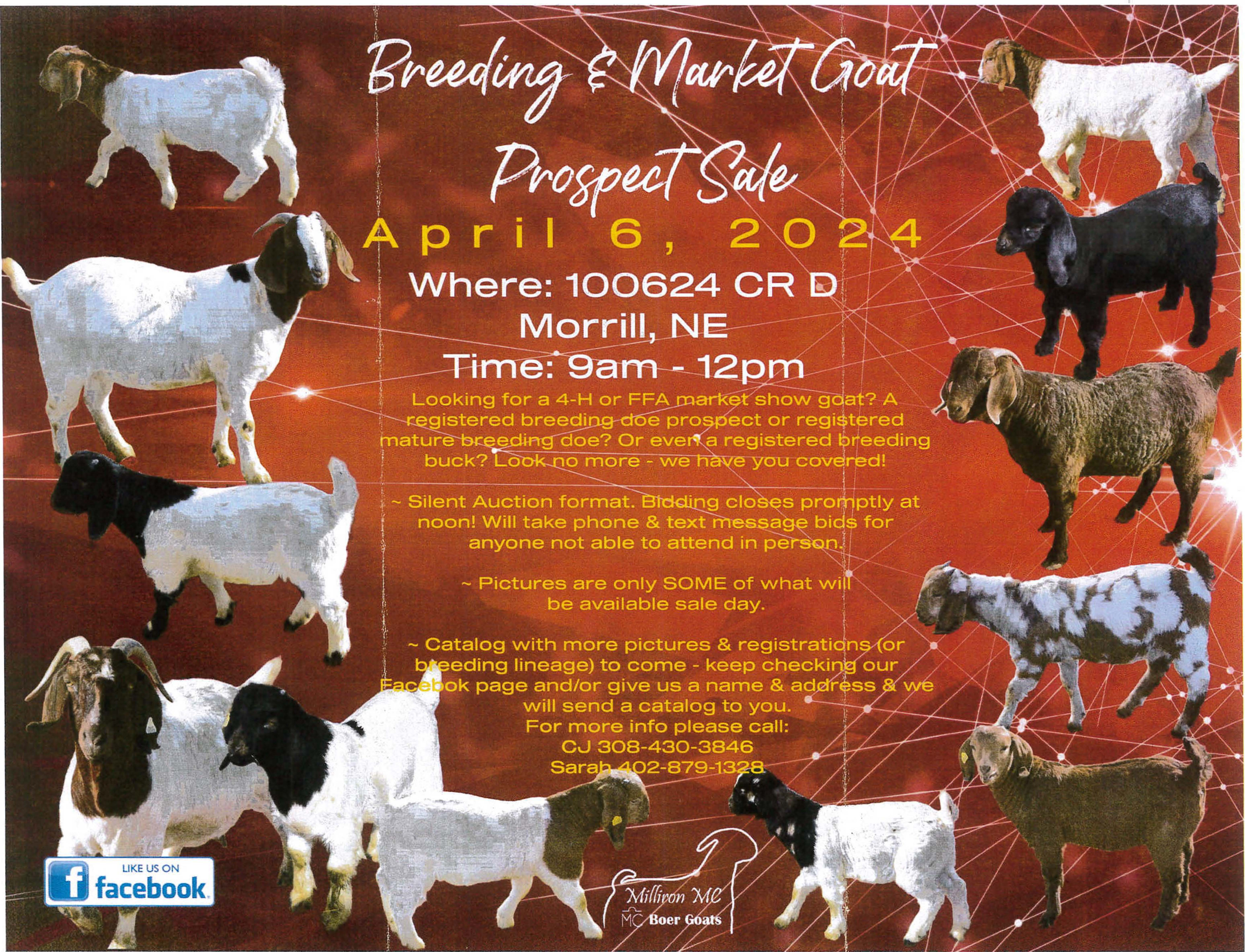 market-breeding-goat-sale