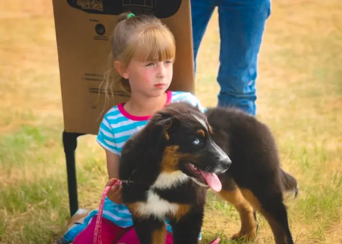 a girl crouches and snuggles a dog