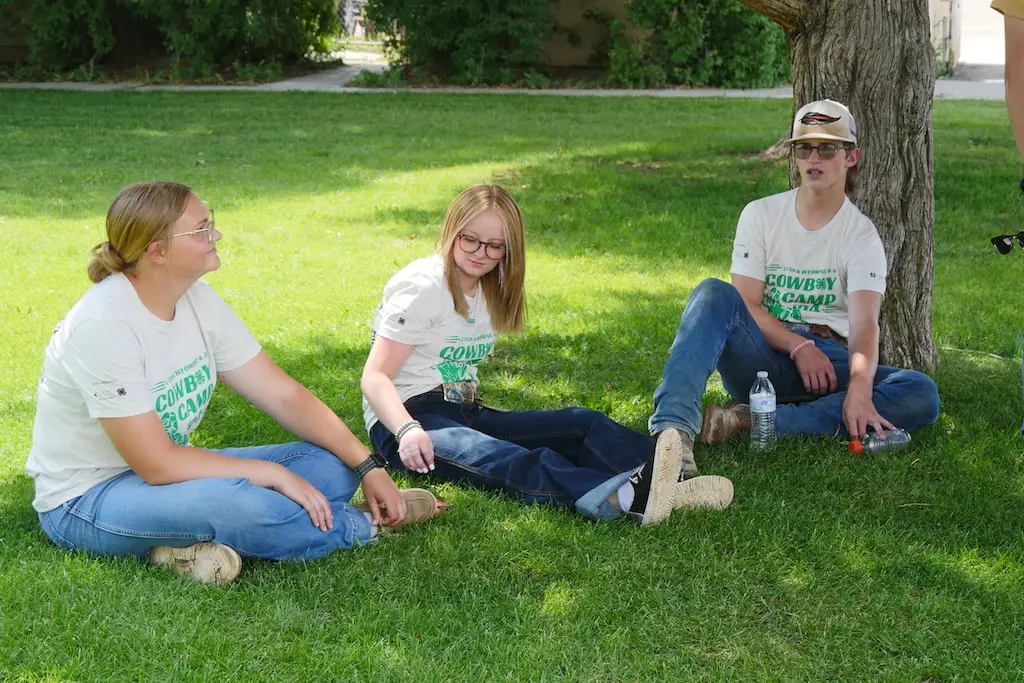 a group of three young people sit in the grass under a tree