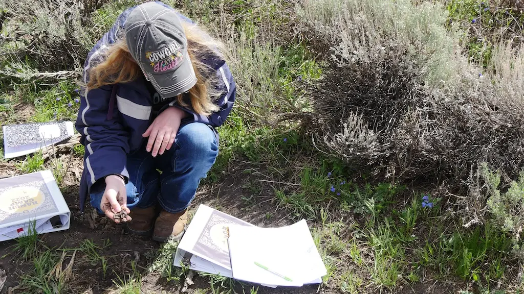 a person crouches over a notebook in the middle of sagebrush while holding a fistful of soil