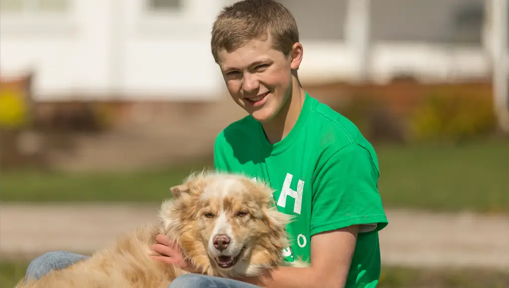 a boy pets a dog in his lap