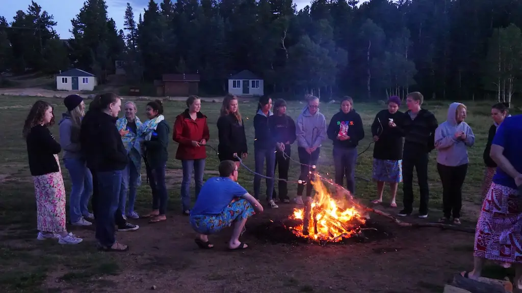 a group of young people roast marshmallows around a fire