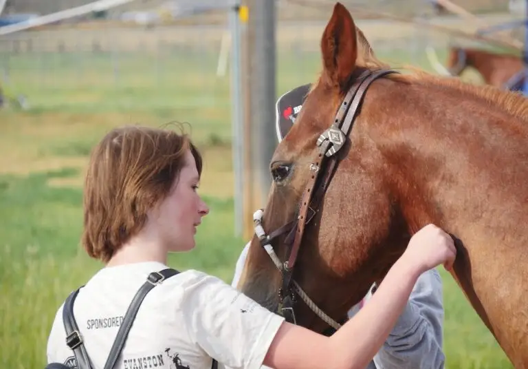 a girl pets a brown horse in closeup