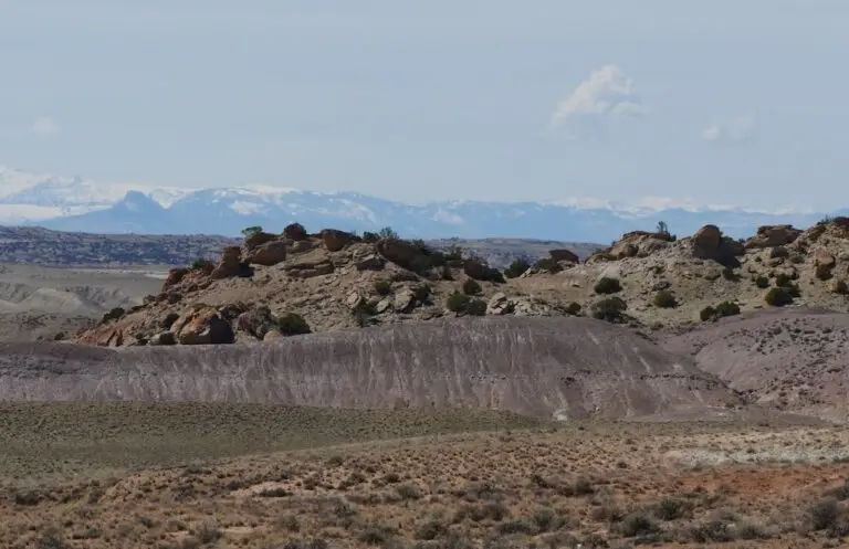 a landscape with shrubs in the foreground, purple eroded hills and broken rock in the middle and snow covered mountains in the distance