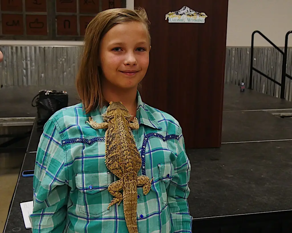 a young woman smiles as a bearded dragon climbs across her chest