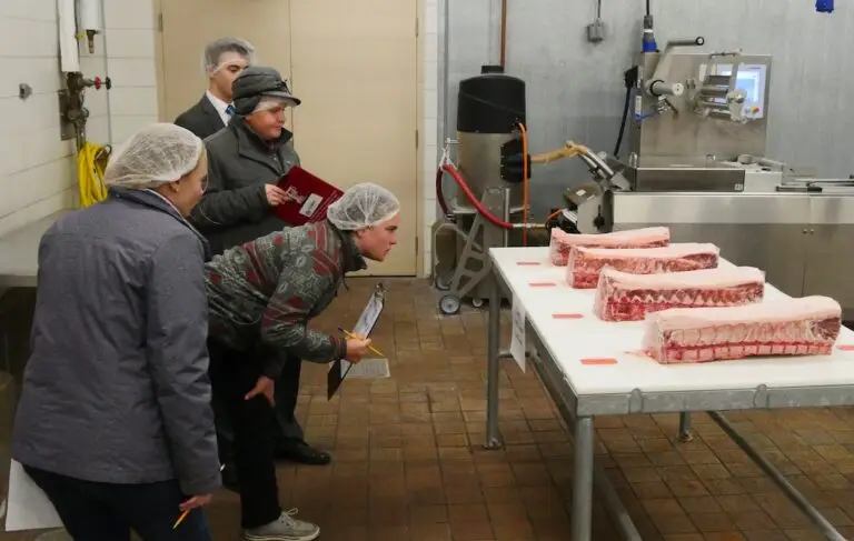 a line of young people examine pieces of cut meat on a table
