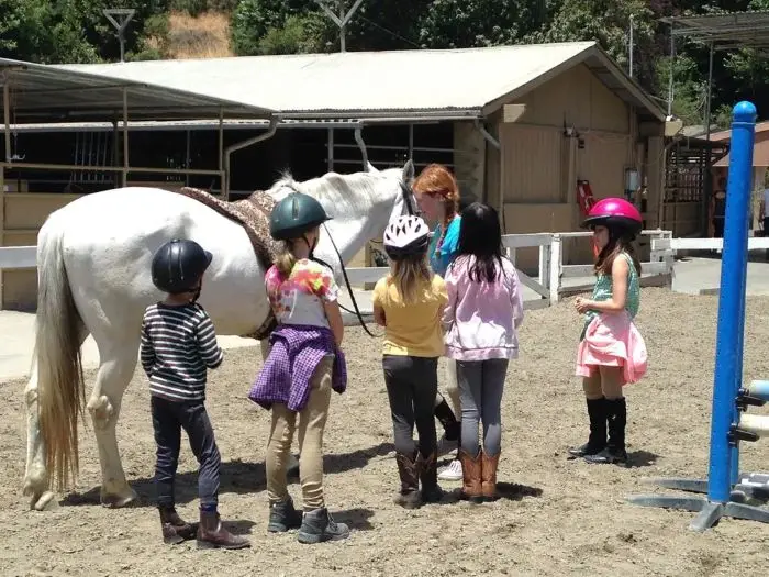 A small group of children wearing riding helmets stand around a white horse in a sandy riding area while an adult instructor talks to them near a stable building.