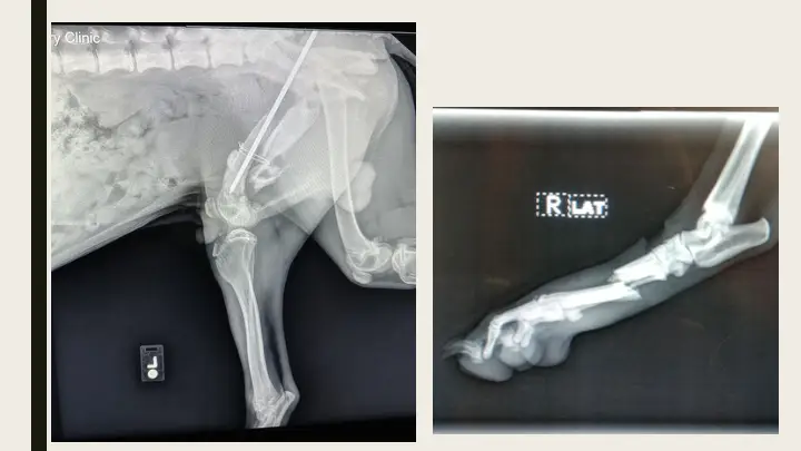 Slide14