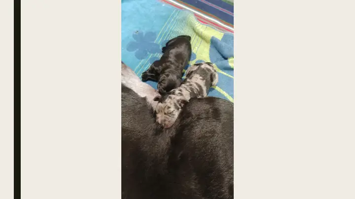 Slide5