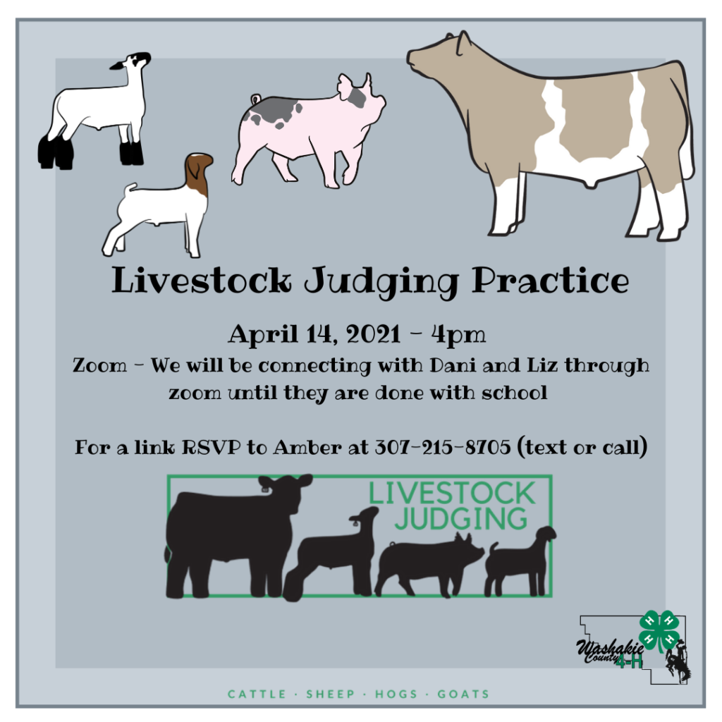 Livestock Judging Practice Washakie County 4H
