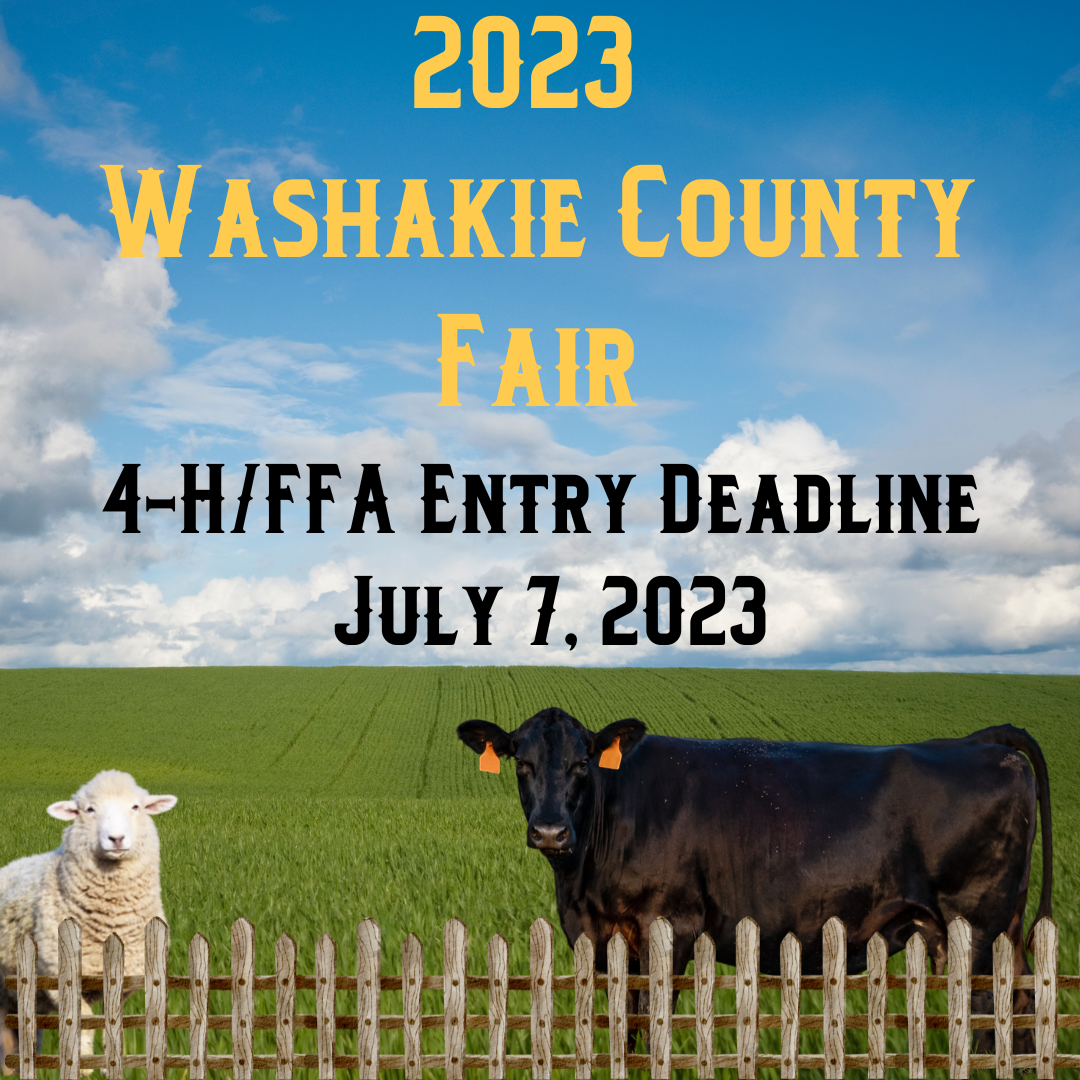 Washakie County Fair Washakie County 4H